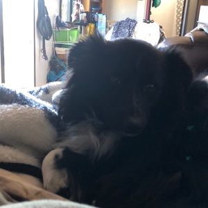 Meet your Posher, Denise